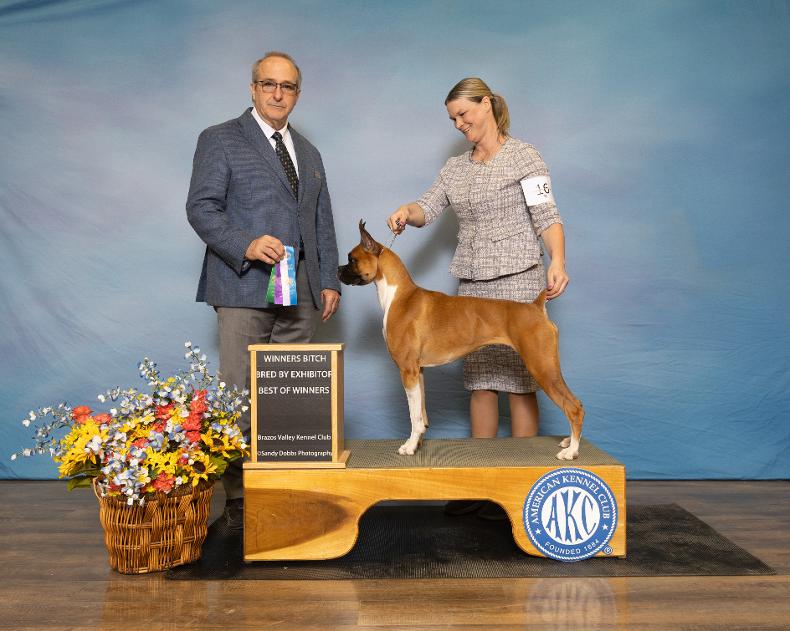 Sanchez N Goss' Unstoppable