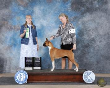 Sanchez N Goss' Unstoppable